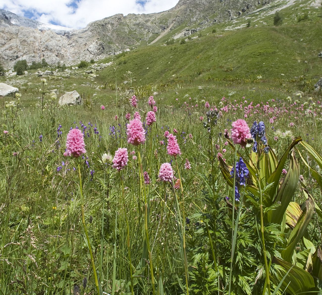Долина реки Терскол, image of landscape/habitat.
