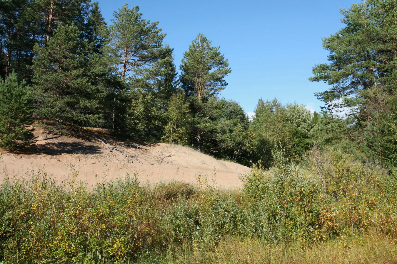 Устье Тулоксы, image of landscape/habitat.