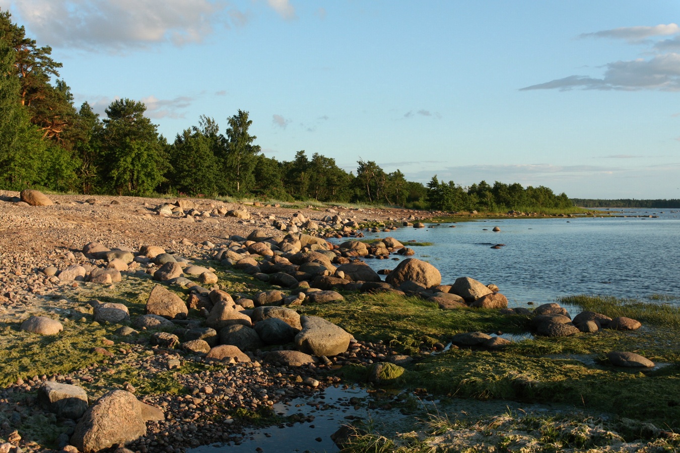 Шепелёвский маяк, image of landscape/habitat.