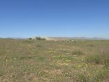 Image of landscape