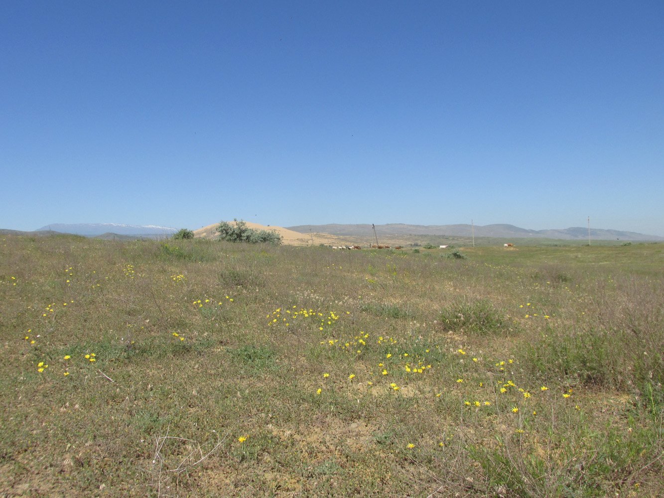 Окрестности села Коркмаскала, image of landscape/habitat.
