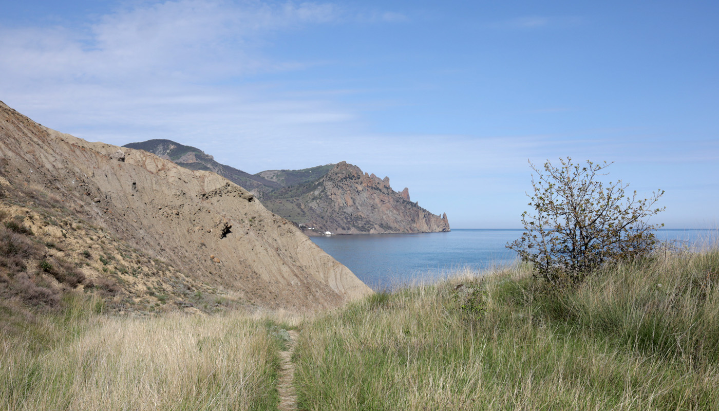 Курортное, image of landscape/habitat.