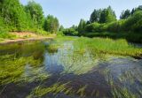 Усть-Янчер и окрестности, image of landscape/habitat.