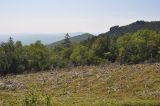 Image of landscape
