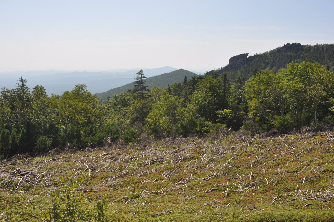 Амурские столбы, image of landscape/habitat.