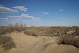 Image of landscape