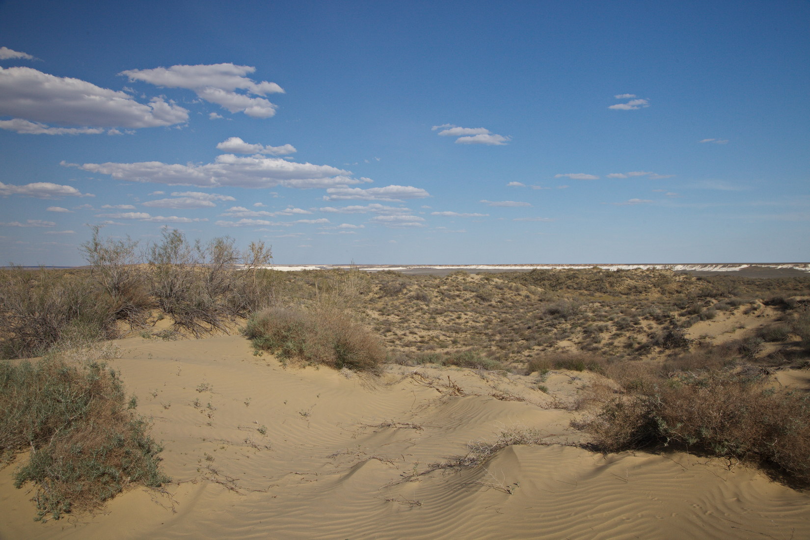 Пески Саускан., image of landscape/habitat.