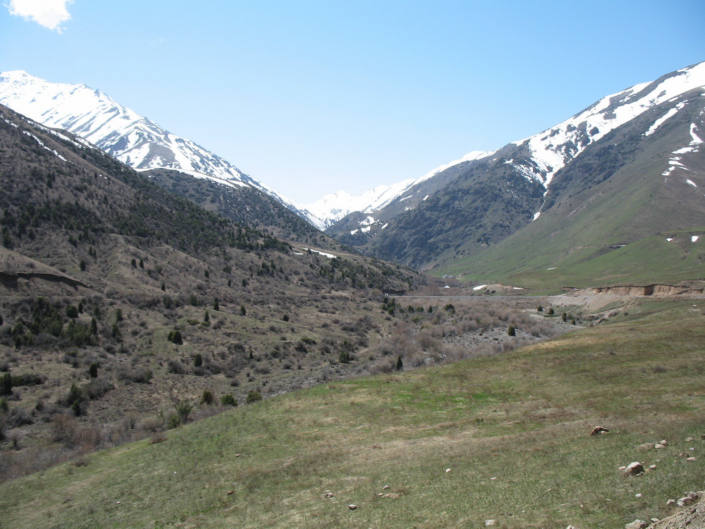 Коксай (нижний пояс), image of landscape/habitat.