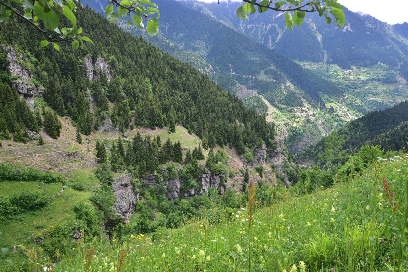 Кашикли, изображение ландшафта.