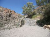 Image of landscape