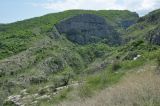 Image of landscape
