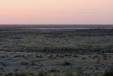 Кызылкум Восточный 2, image of landscape/habitat.