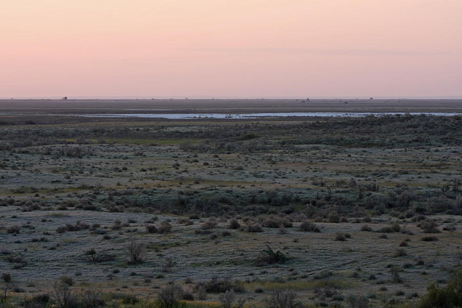 Кызылкум Восточный 2, image of landscape/habitat.