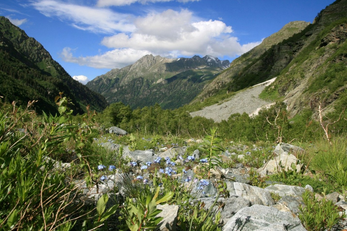 Архыз. Долина реки Псыш, image of landscape/habitat.