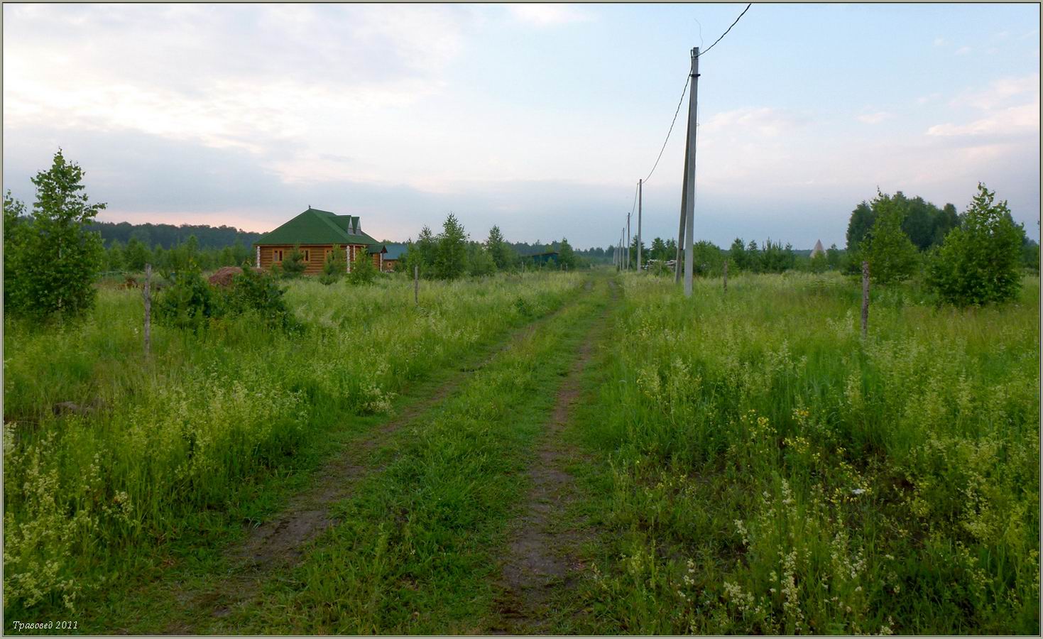 ДНП Лесная поляна, изображение ландшафта.