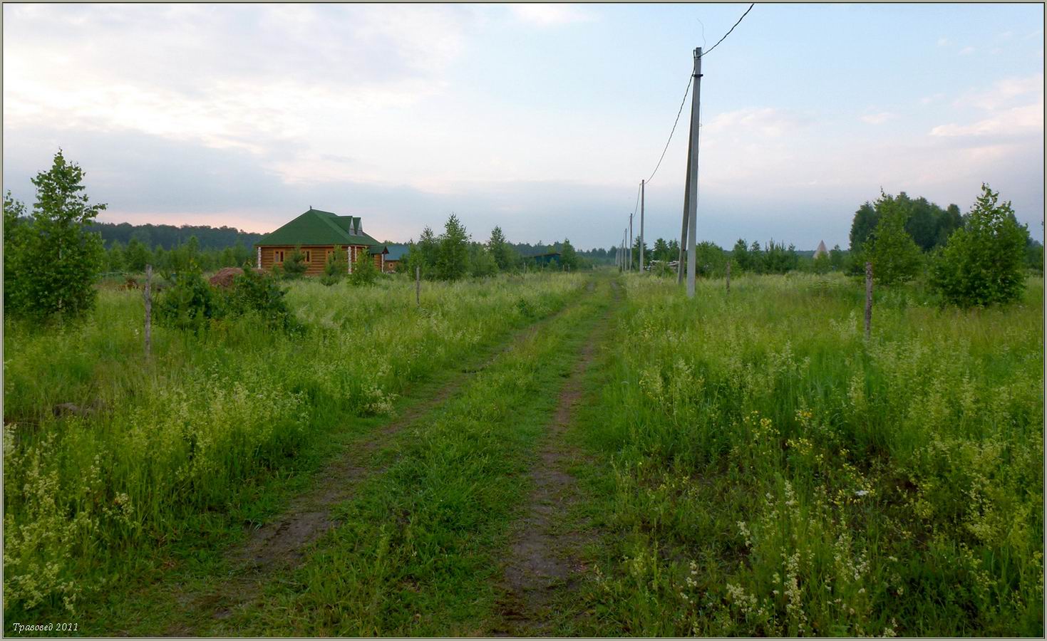 ДНП Лесная поляна, image of landscape/habitat.