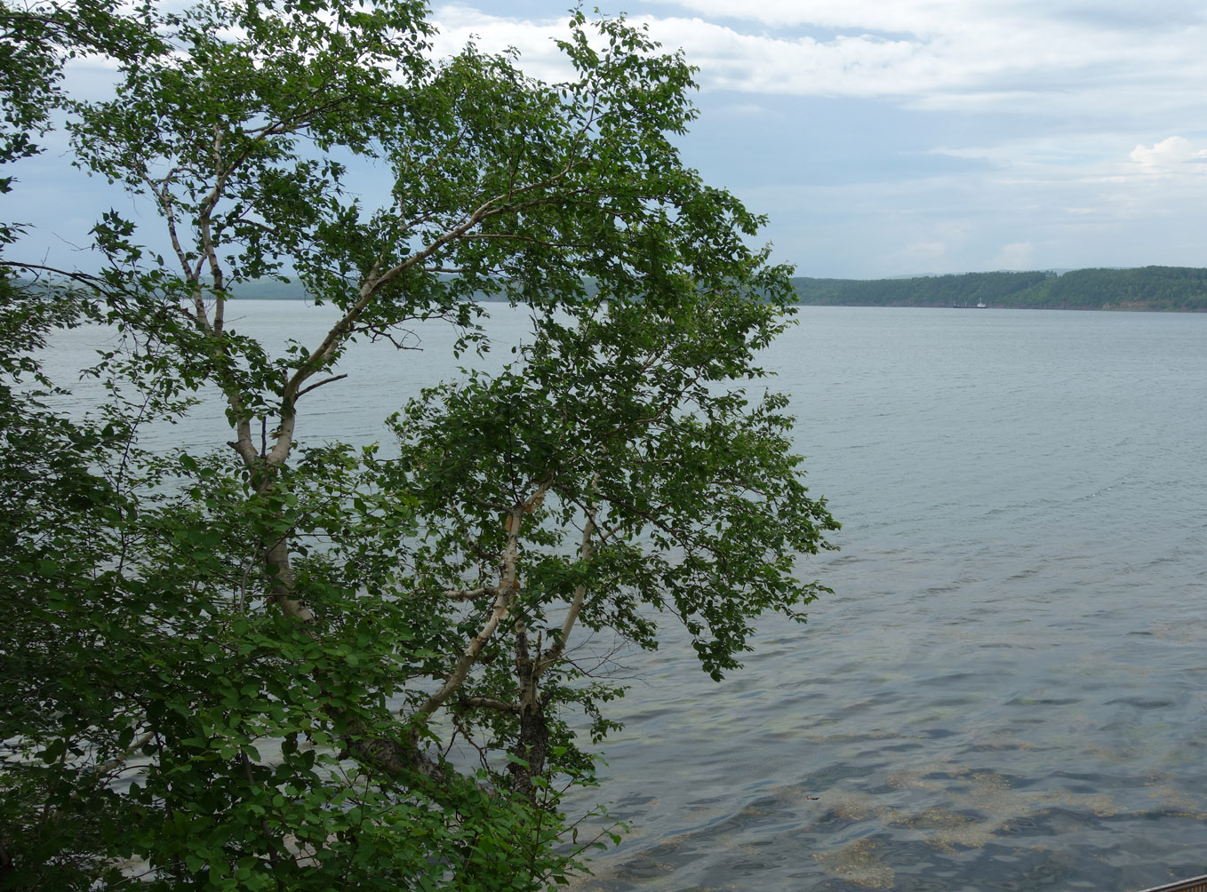 Советская Гавань, image of landscape/habitat.