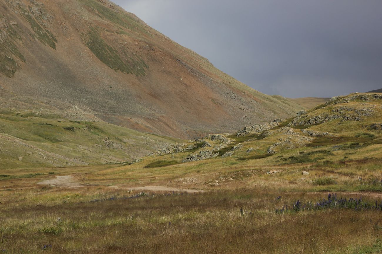 Окрестности истока реки Усай, image of landscape/habitat.