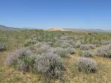 Image of landscape