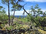 Image of landscape