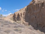 Горы Сырт, image of landscape/habitat.