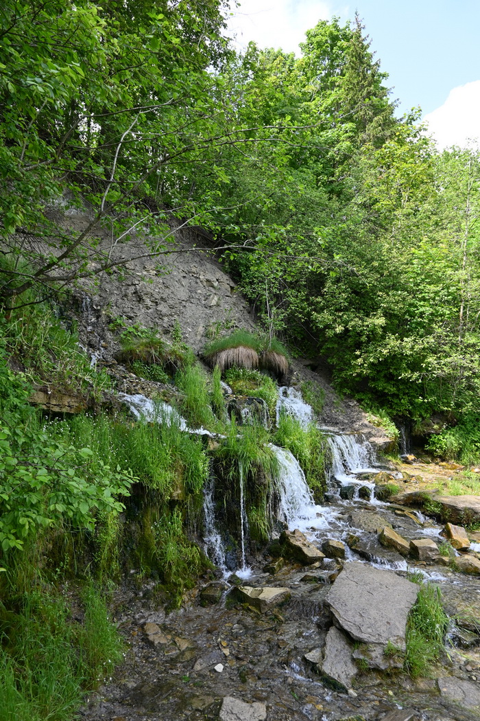 Изборск, image of landscape/habitat.