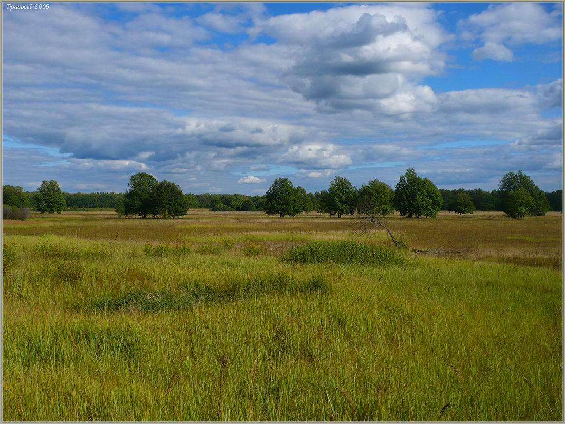 Соколова поляна, image of landscape/habitat.