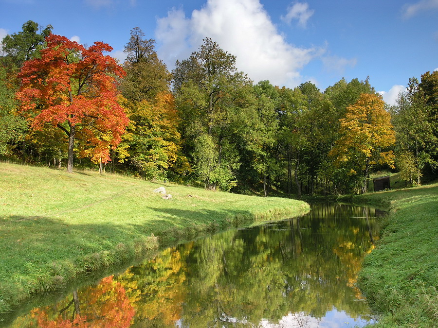 Дудергофские высоты, image of landscape/habitat.