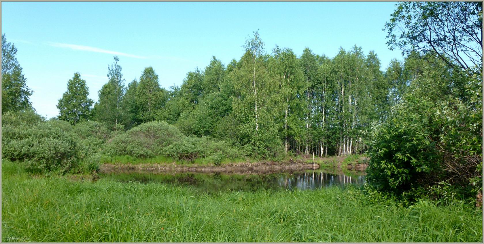 ДНП Лесная поляна, image of landscape/habitat.