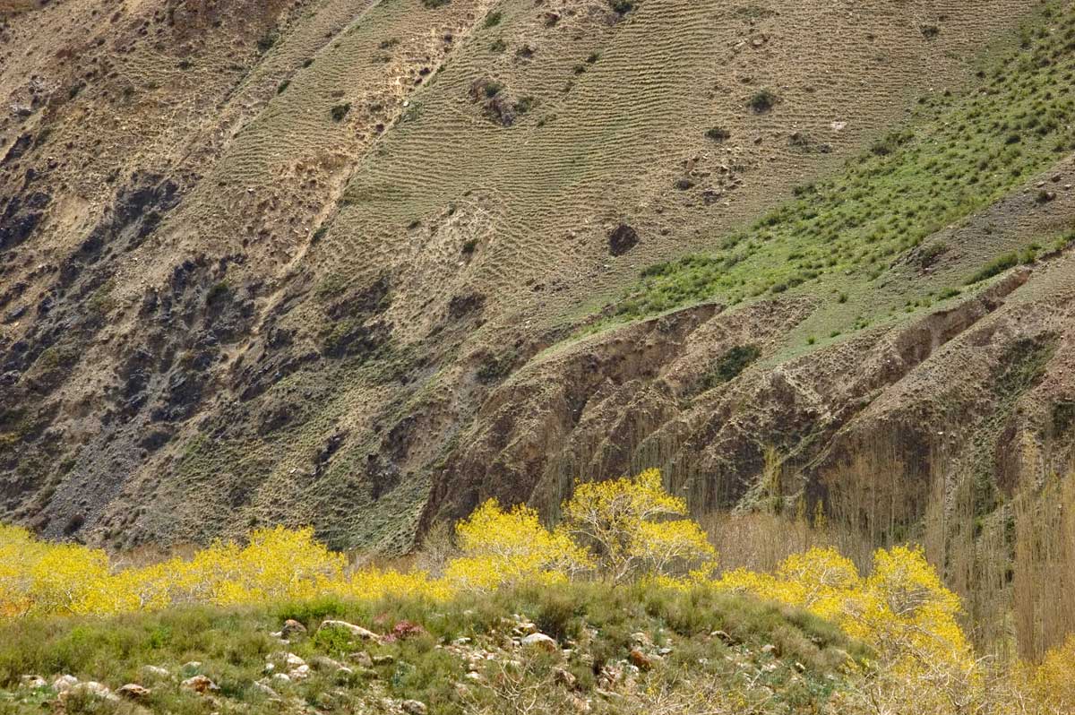 Окрестности села Кызыл-Ой, image of landscape/habitat.