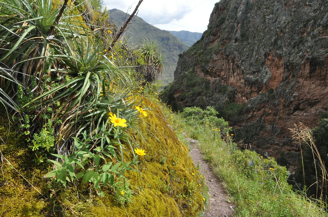 Археологический парк «Писак», image of landscape/habitat.