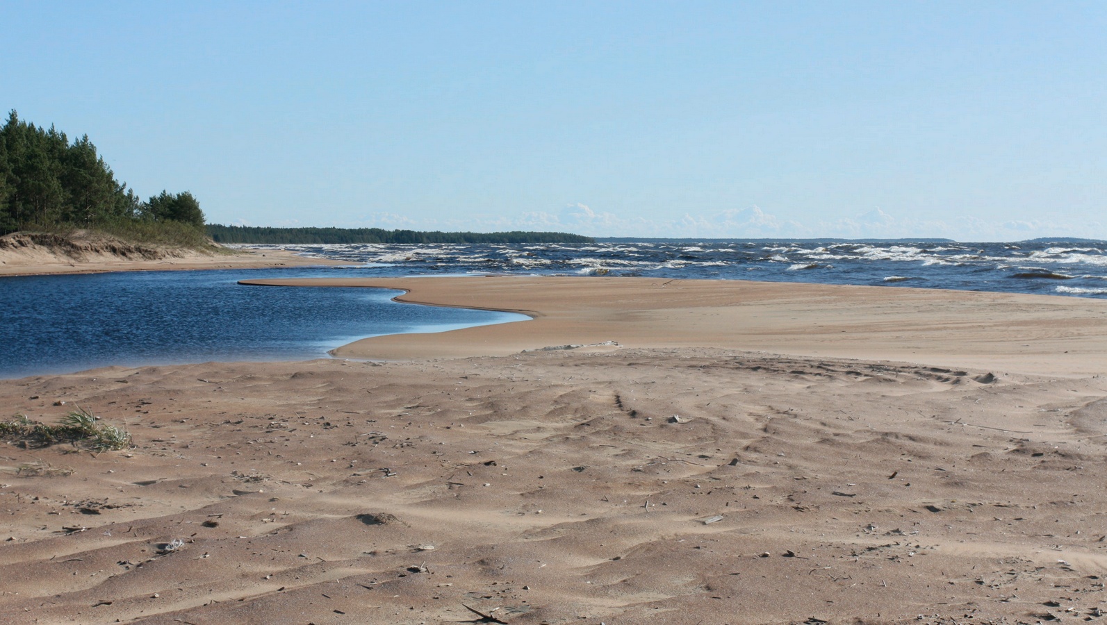 Устье Тулоксы, image of landscape/habitat.