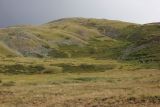 Image of landscape