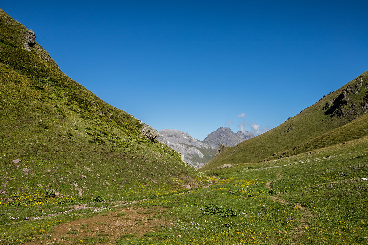 Окрестности перевала Ацгара, image of landscape/habitat.