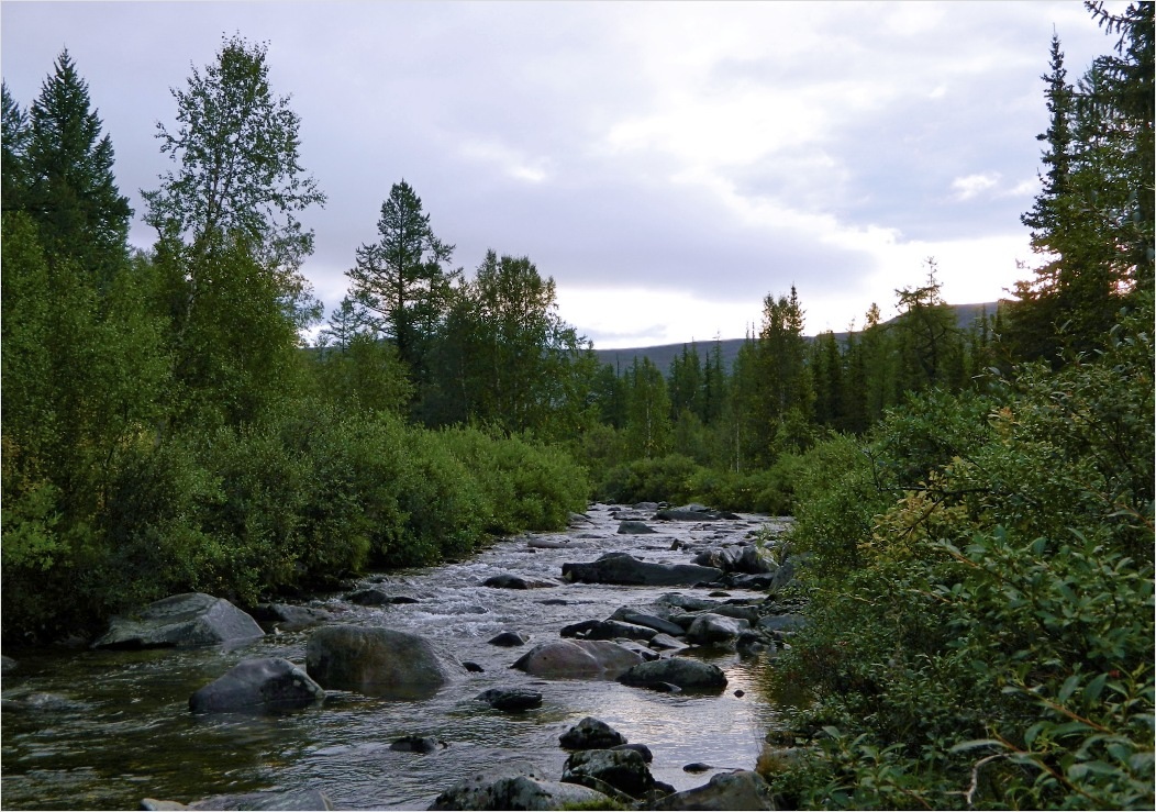 Сенька-Шор, image of landscape/habitat.