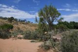 Image of landscape