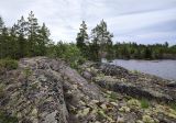 Image of landscape