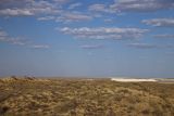 Image of landscape
