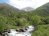 Коксай (нижний пояс), image of landscape/habitat.