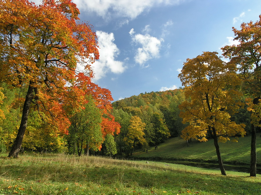 Дудергофские высоты, image of landscape/habitat.