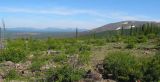 Image of landscape