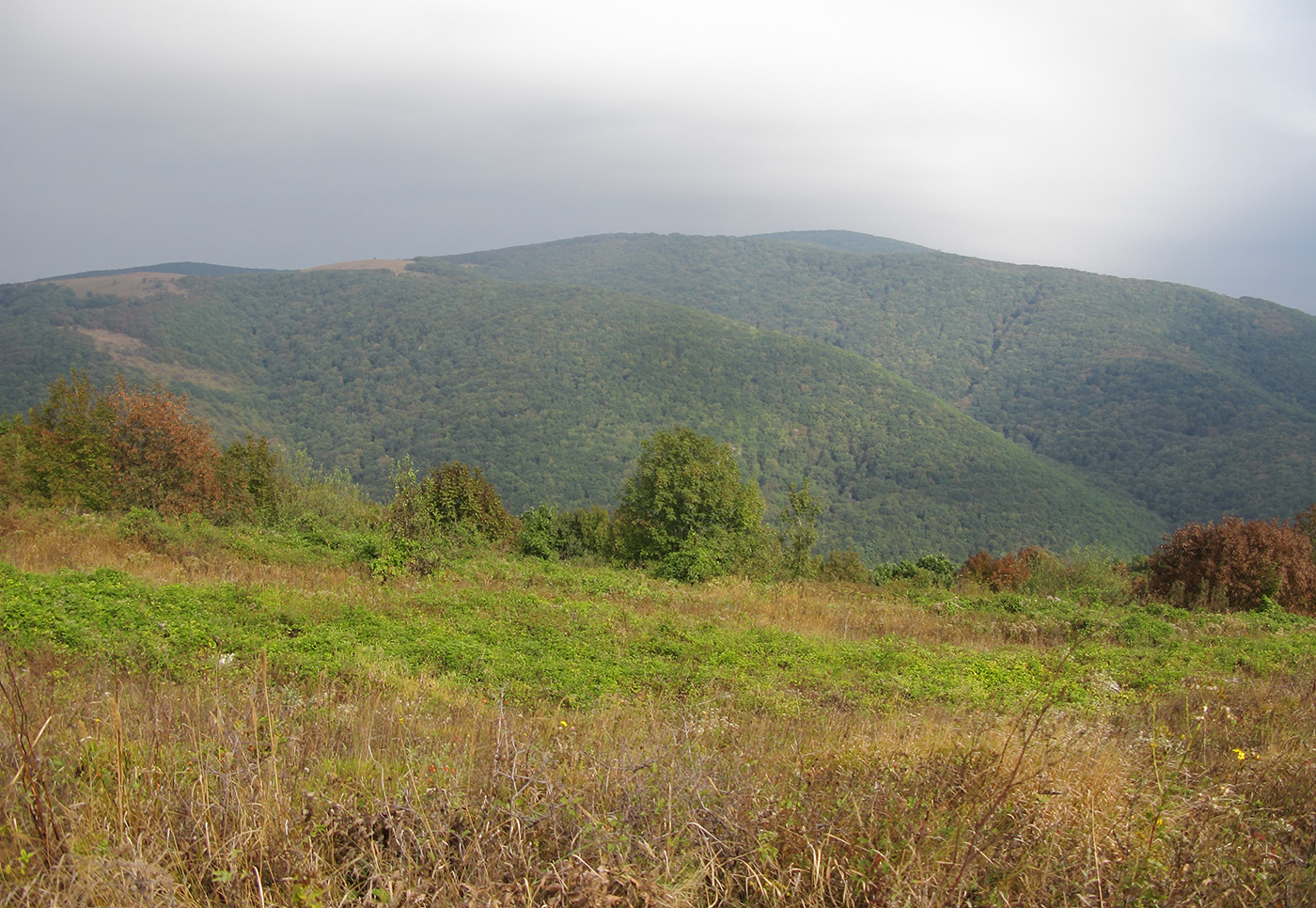 Крымская-Долгая, image of landscape/habitat.