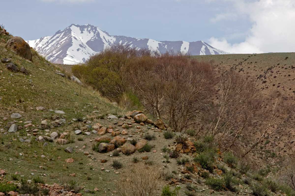 Окрестности села Кызыл-Ой, image of landscape/habitat.