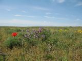 Image of landscape