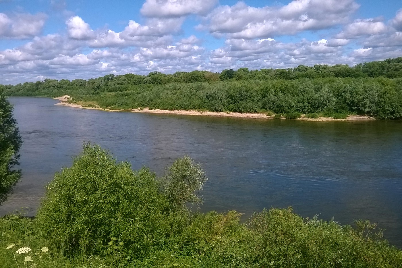 Берег р. Ока у г. Серпухов, image of landscape/habitat.