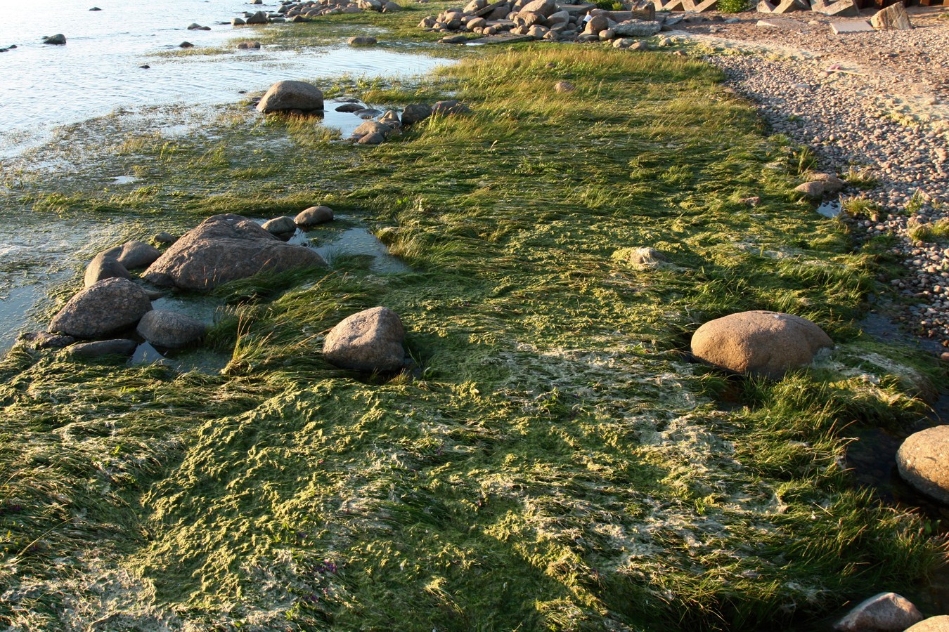 Каравалдай, image of landscape/habitat.