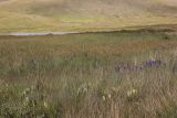 Image of landscape