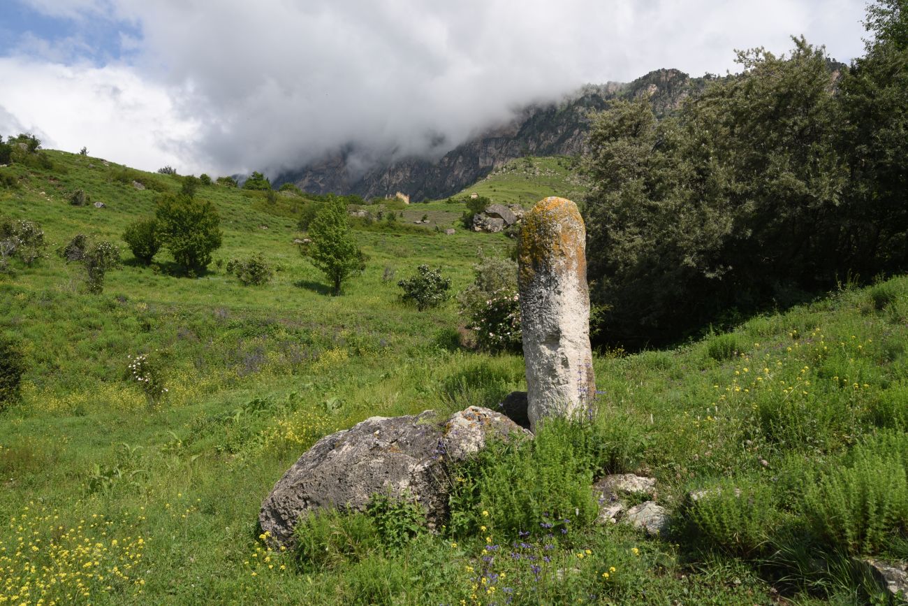 Бархане и окрестности, image of landscape/habitat.