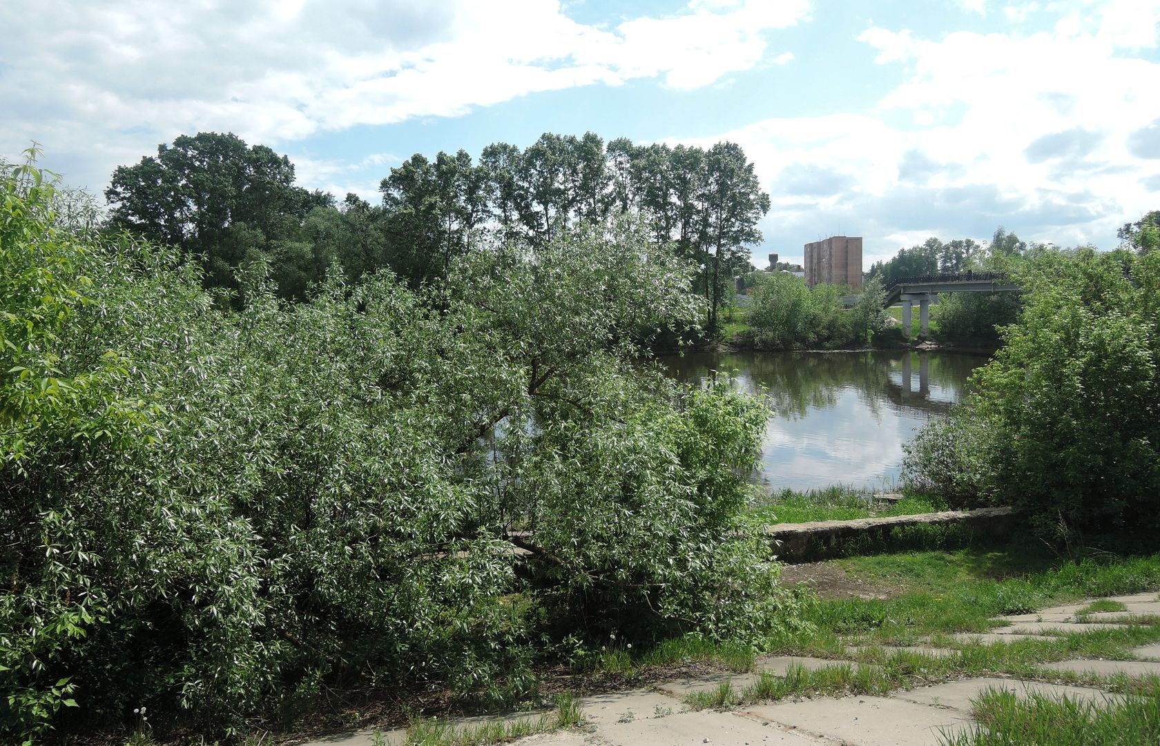 Орехово-Зуево и окрестности, image of landscape/habitat.