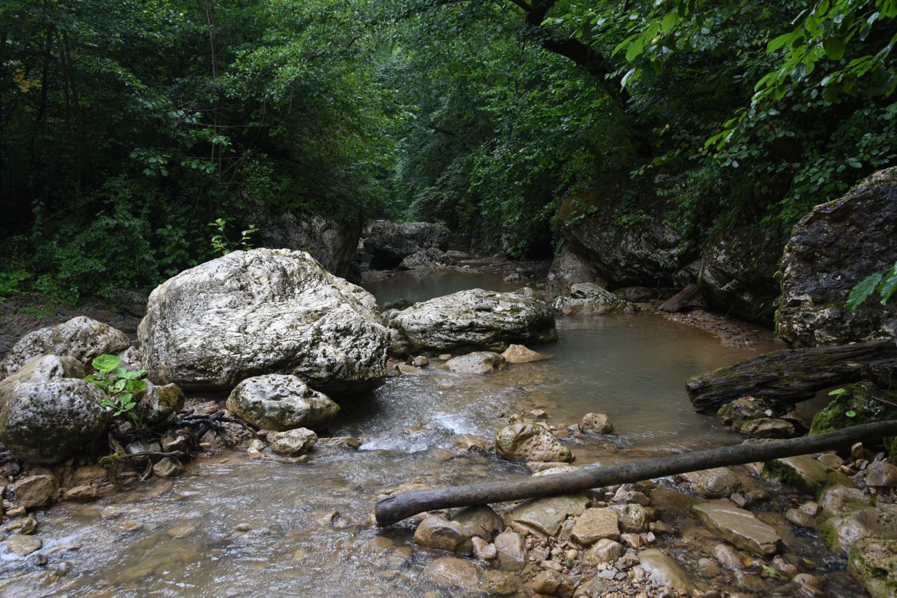 Водопад Шум, image of landscape/habitat.